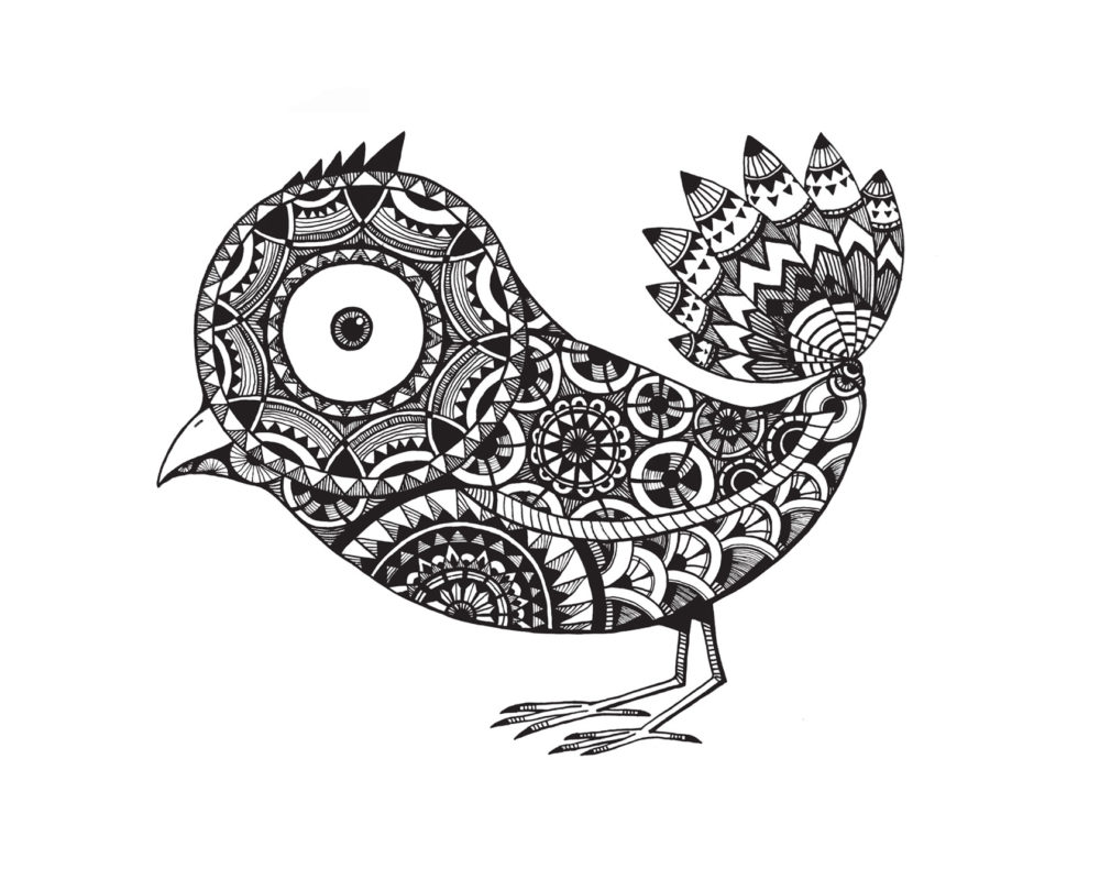 pattern-bird-n