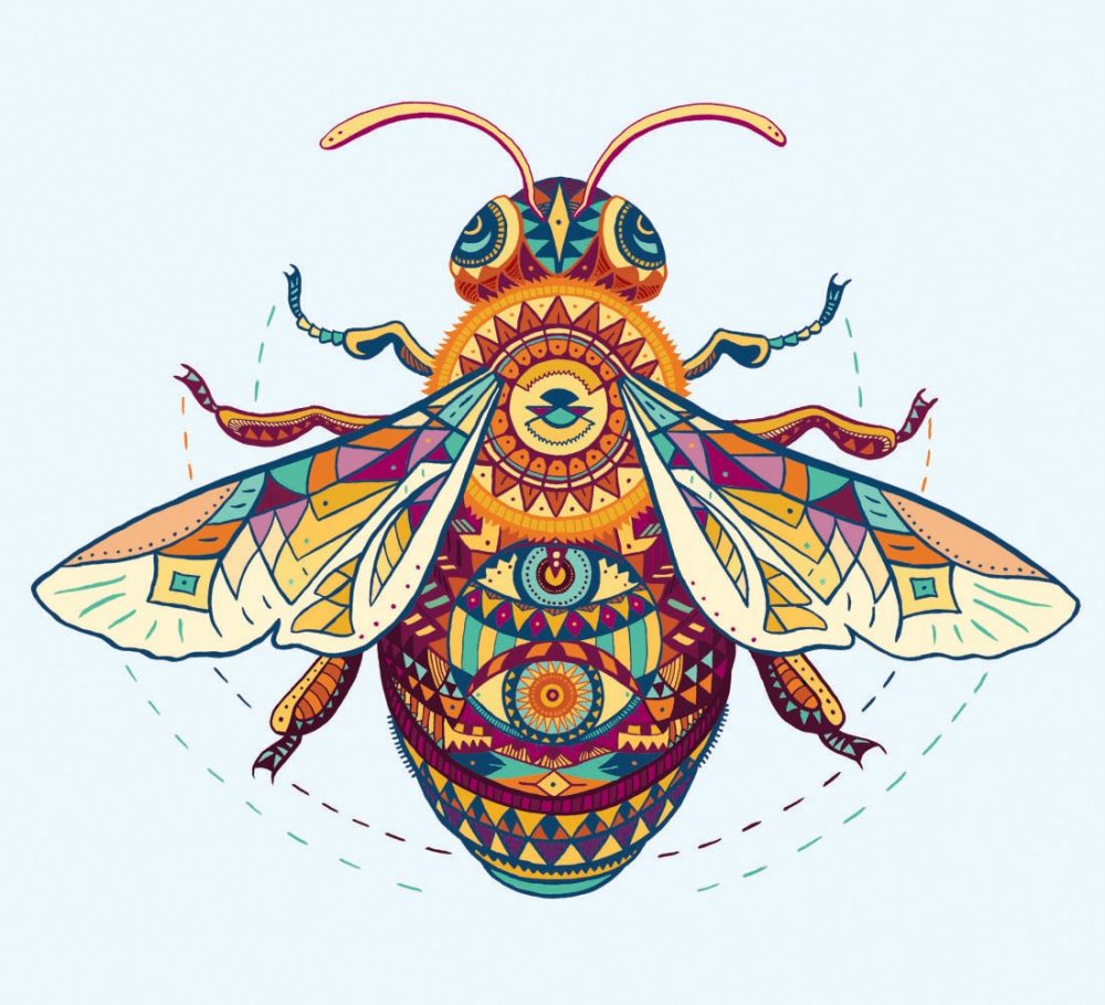 pattern_bee