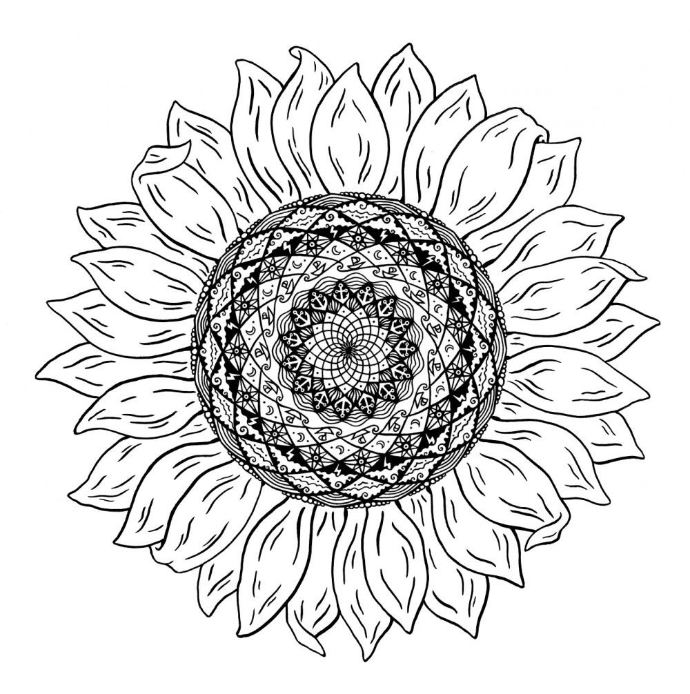Daisey_nautical_sunflower