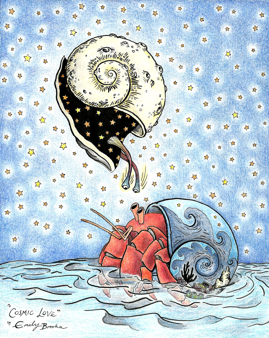Snail & Hermit Crab