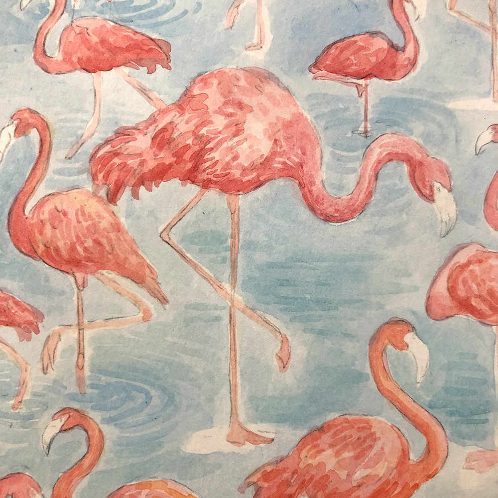 flamingo-detail-process3